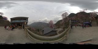 北川辛荑花 (3)